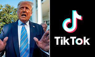Trump Could Use Executive Orders to Ban TikTok in the US
