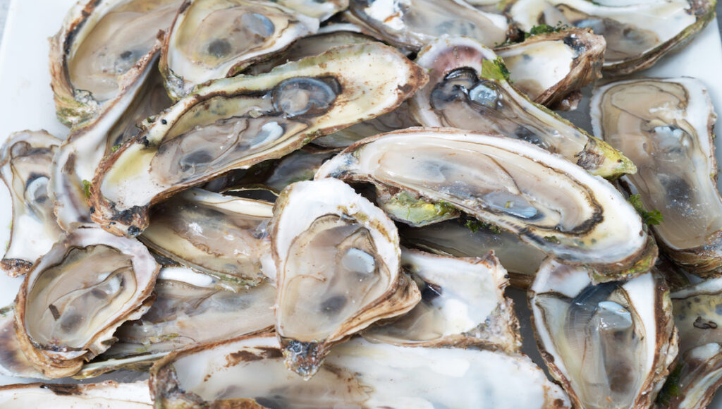 South African oysters linked to illness in Hong Kong