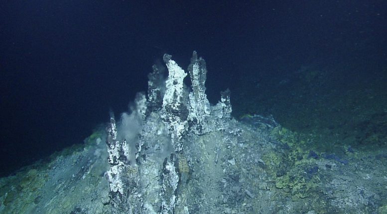 Chimney Structure From the Sea Cliff Hydrothermal Vent Field