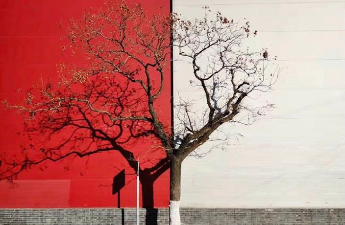 What’s Changed at Beijing’s ‘Wanghong Tree?’