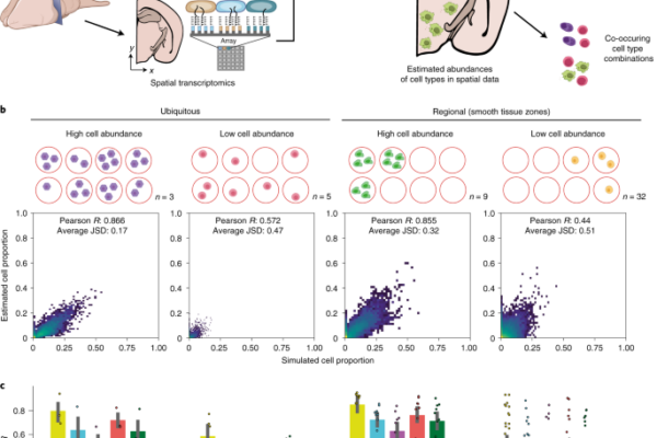 Cell2location maps fine-grained cell types in spatial transcriptomics