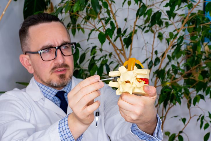 A model of part of the spine in focus in the hands of a doctor in the blurred background.  A doctor or scientist refers to the spinous process as an anatomical part of the spine