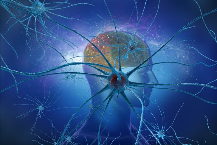 digital illustration of neurons on brain background