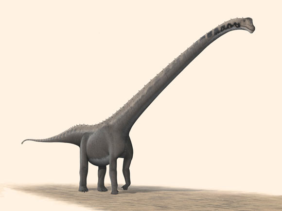 Life restoration of Mamenchisaurus youngi, the best-known member of the family Mamenchisauridae. Image credit: Steveoc 86 / CC BY-SA 2.5.