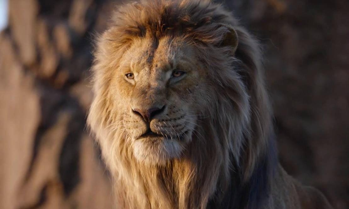 The Lion King Prequel Director Barry Jenkins Drops Major Tease for New Movie