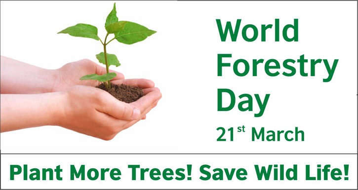 World Forest Day