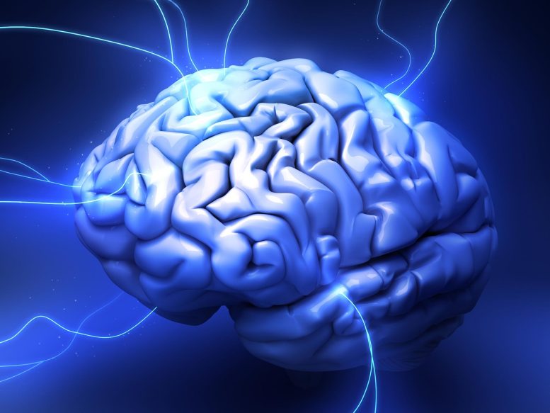 Human Brain Energy Concept