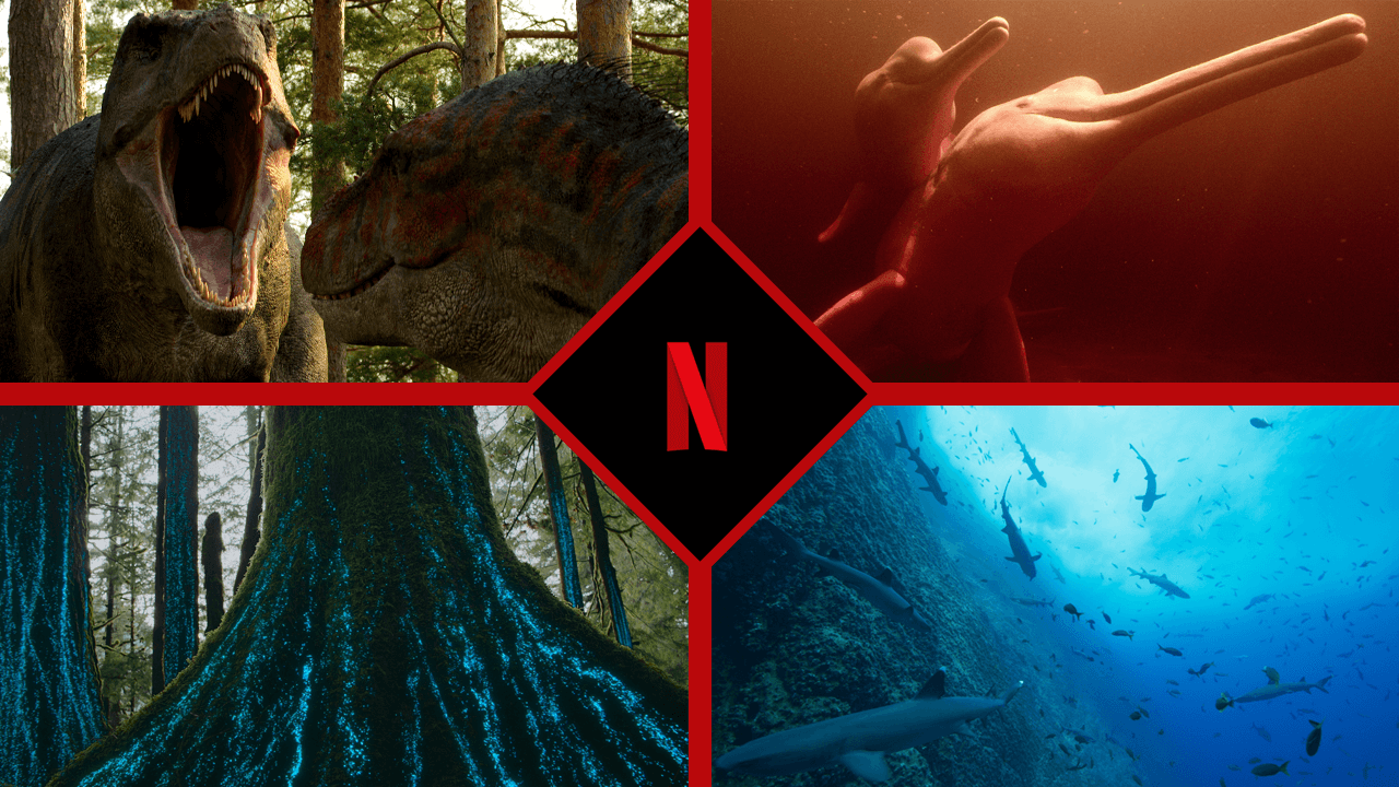 Nature documentaries coming to netflix in 2023 and beyond